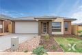 Property photo of 19 Melogold Crescent Tarneit VIC 3029