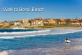 Property photo of 22 Chambers Avenue Bondi Beach NSW 2026