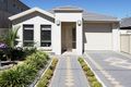 Property photo of 15 Douglas Avenue Hillcrest SA 5086