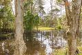 Property photo of 1185 Comboyne Road Killabakh NSW 2429