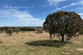 Property photo of 258 Kangaloolah Road Binda NSW 2583