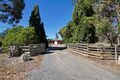 Property photo of 20 Wilmot Road Traralgon East VIC 3844