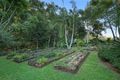 Property photo of 40 Otto Nothling Place Beerwah QLD 4519