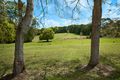 Property photo of 179 Scarrabelottis Road Nashua NSW 2479