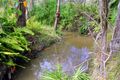 Property photo of 128 Streeter Drive Agnes Water QLD 4677