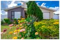 Property photo of 19 Sylvana Avenue Gracemere QLD 4702