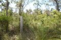Property photo of 709 Matchbox Road Deepwater QLD 4674