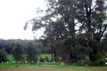 Property photo of 13 Ghost Gum Heights Jarrahdale WA 6124