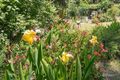 Property photo of 91 Alexander Avenue Upwey VIC 3158