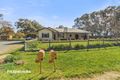 Property photo of 445 Pine Gully Road Hillgrove NSW 2650