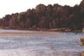 Property photo of 51 Ocean Drive Evans Head NSW 2473
