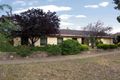 Property photo of 16 Radford Avenue Clearview SA 5085