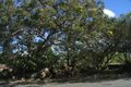 Property photo of 115 Queens Road Connells Point NSW 2221