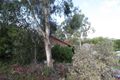 Property photo of 7 New York Road Aberfoyle Park SA 5159