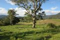Property photo of 1202 Gradys Creek Road Loadstone NSW 2474