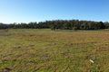 Property photo of 10136 Tasman Highway Little Swanport TAS 7190
