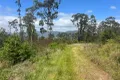 Property photo of 173 Knodingbul Forest Road Mount George NSW 2424