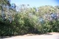 Property photo of 220 Powderworks Road Ingleside NSW 2101