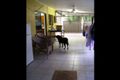 Property photo of 31 Clinton Street Yorkeys Knob QLD 4878