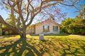 Property photo of 29 Melaleuca Drive Palm Beach QLD 4221