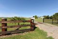 Property photo of 805 Summerland Way Carrs Creek NSW 2460