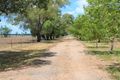 Property photo of 93 Tranquility Road Moree NSW 2400
