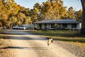 Property photo of 10 Kinsman Drive Murrumbateman NSW 2582