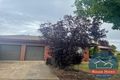 Property photo of 1 Thomas Court Shepparton VIC 3630