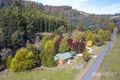 Property photo of 930 Weetah Road Weetah TAS 7304
