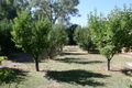 Property photo of 6 Burton Street Clare SA 5453