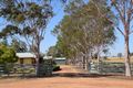 Property photo of 258 Merrits Lane Burroway NSW 2821