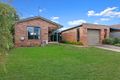 Property photo of 35 Collins Street Hamilton VIC 3300