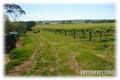 Property photo of 273 Saleyards Road Penrice SA 5353