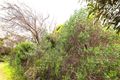 Property photo of 13 Kestrel Court Marion Bay SA 5575