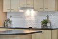 Property photo of 4 Monaro Circuit Mount Louisa QLD 4814