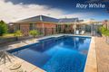 Property photo of 8 Swallow Street Thurgoona NSW 2640