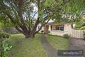 Property photo of 88 Mimosa Road Carnegie VIC 3163