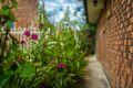 Property photo of 13 Hobson Close Bellingen NSW 2454