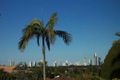 Property photo of 8 Limosa Street Ashmore QLD 4214