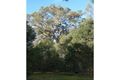 Property photo of 35 Denny Road Jalbarragup WA 6275