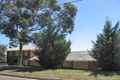 Property photo of 11 Palomino Road Auldana SA 5072