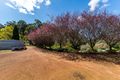 Property photo of 39 Balinga Drive Balingup WA 6253