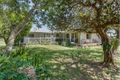 Property photo of 167 Newby Road Pampoolah NSW 2430