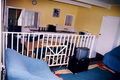 Property photo of 8 Ocean Street Black Head NSW 2430