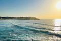 Property photo of 3/8-10 Notts Avenue Bondi Beach NSW 2026