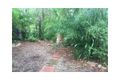 Property photo of 38 Torelliana Drive Strathpine QLD 4500