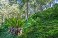 Property photo of 26 Old Coast Road Stanwell Park NSW 2508