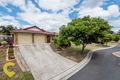 Property photo of 16 Linaria Circuit Drewvale QLD 4116