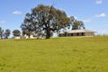 Property photo of 593 Spring Creek Road Cumbandry NSW 2852