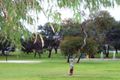 Property photo of 12 Lyddon Road Carrickalinga SA 5204